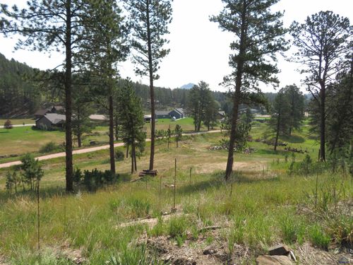 tbd-lakewood-court-Blk 7 Lot 10 Other, Hill City, SD, 57745 | Card Image