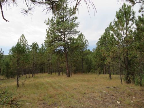 TBD Lot 34B Hombre Trail, Custer, SD, 57730-9166 | Card Image
