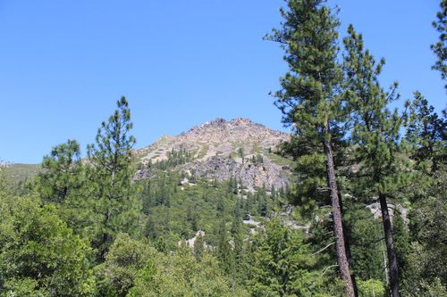 558 Brady Dr, Sierra City, CA, 96125-1002 | Card Image