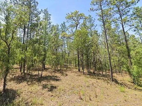 0 Nw Tree Top #9 Road, Dunnellon, FL, 34431 | Card Image