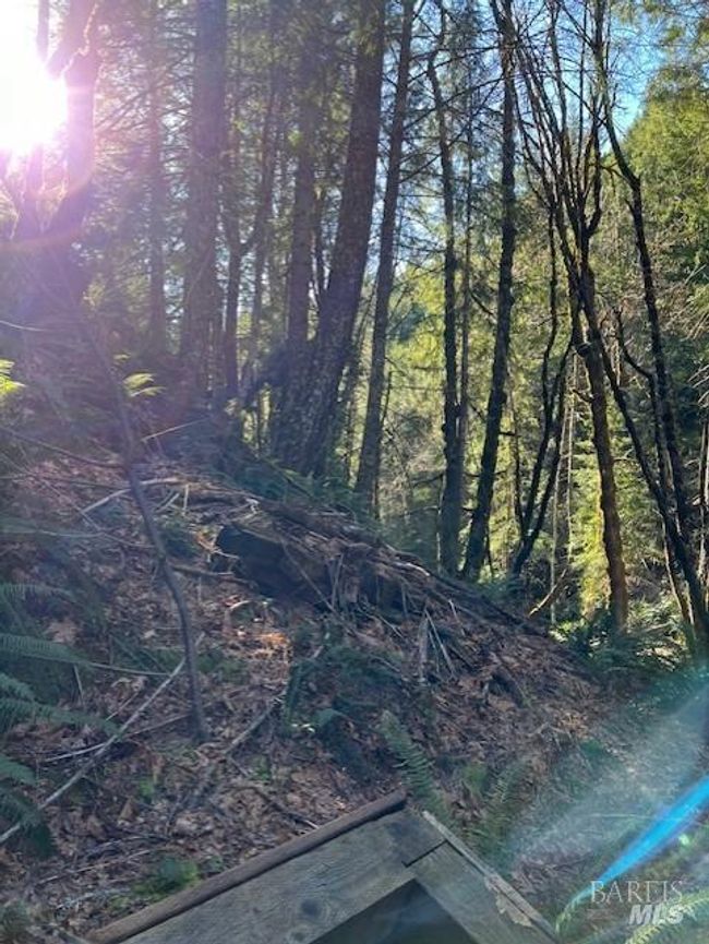 1 Highway 199 None, Home with 0 bedrooms, 0 bathrooms and null parking in Crescent City CA | Image 6