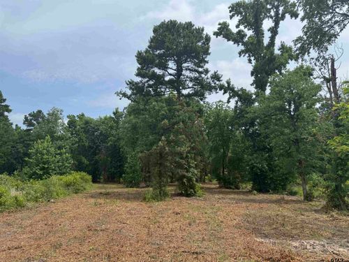 3162 Shadow Pine Dr, Larue, TX, 75770 | Card Image