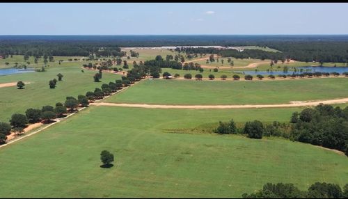 Lot 136-137 Royal Oak Dr., Hillister, TX, 77624 | Card Image