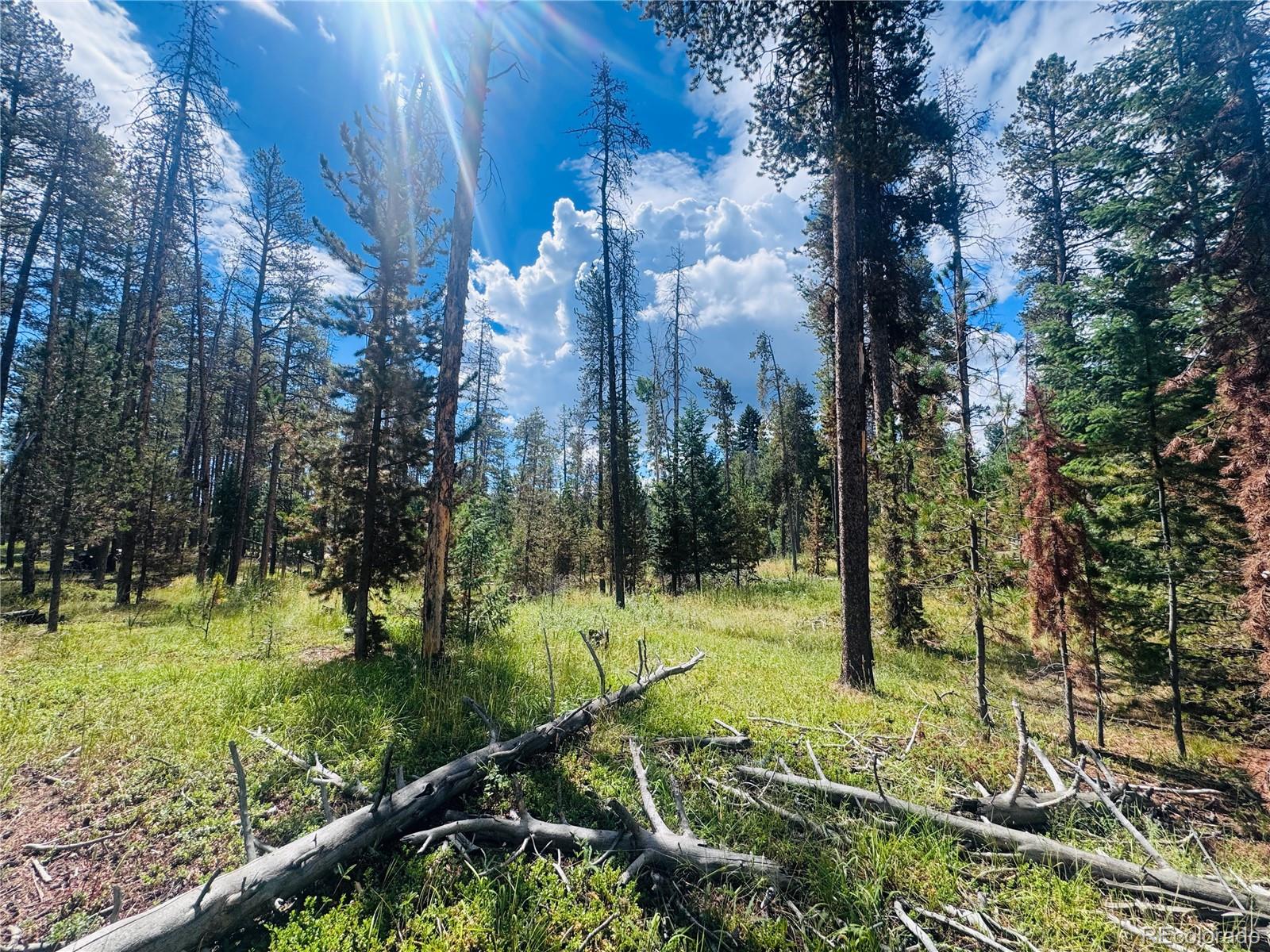 Land in Conifer 2