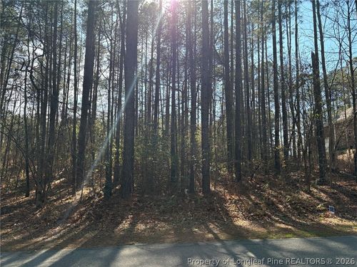 Lot 7 Lakeshore Dr, Wagram, NC, 28396 | Card Image