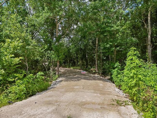 5239 Patterson Rd, Home with 0 bedrooms, 0 bathrooms and null parking in Manvel TX | Image 4