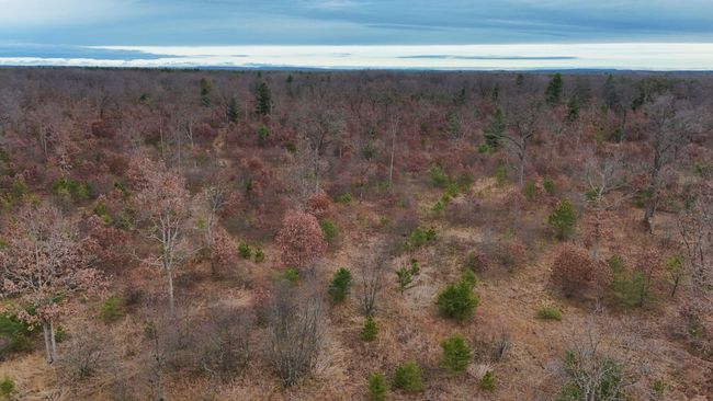 3726 N Custer Rd, Home with 0 bedrooms, 0 bathrooms and null parking in Manistee MI | Image 24