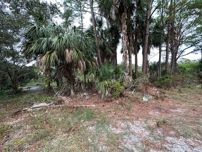 5 Lots Ingleside Pl, Home with 0 bedrooms, 0 bathrooms and null parking in Cedar Key FL | Image 6