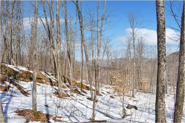 48 Durkin Rd, Home with 0 bedrooms, 0 bathrooms and null parking in North Creek NY | Image 59