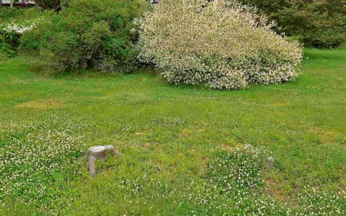Lot 22-2 Clearway St, Mahone Bay, NS, B0J | Card Image
