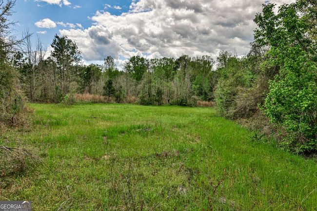 0 Kemp Rd, Home with 0 bedrooms, 0 bathrooms and null parking in Buena Vista GA | Image 20