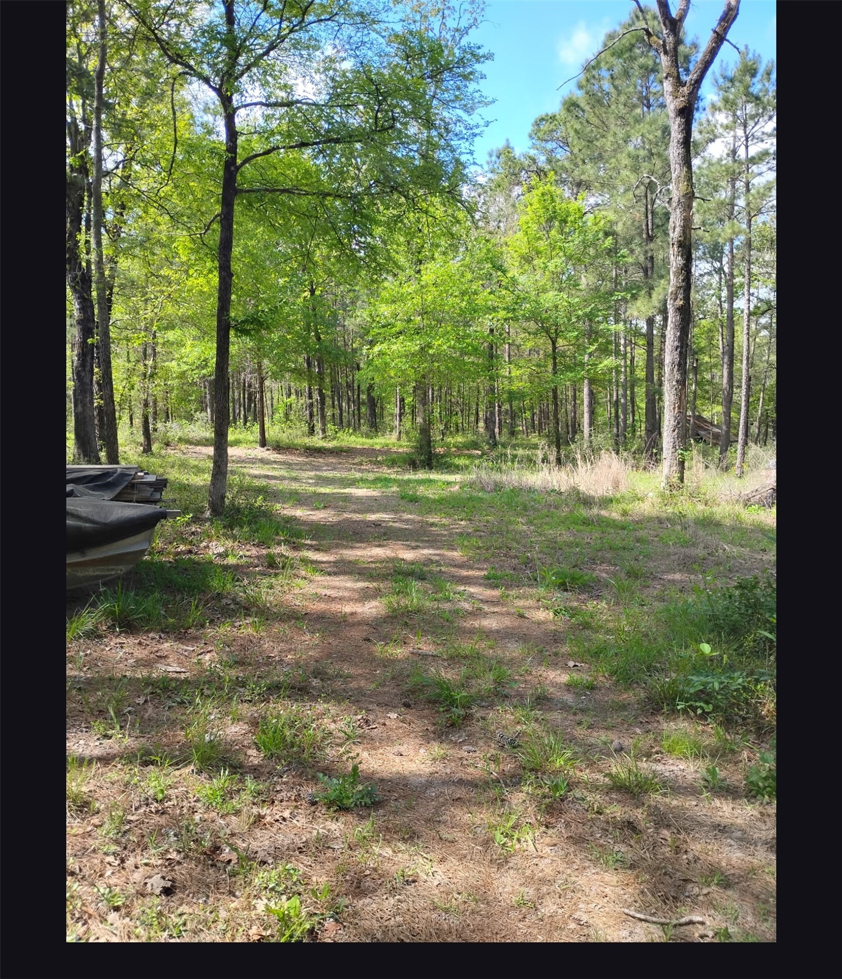 Land in Huntsville