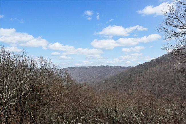 1043 Deer Run Rdg, House other with 5 bedrooms, 7 bathrooms and null parking in Jasper GA | Image 43