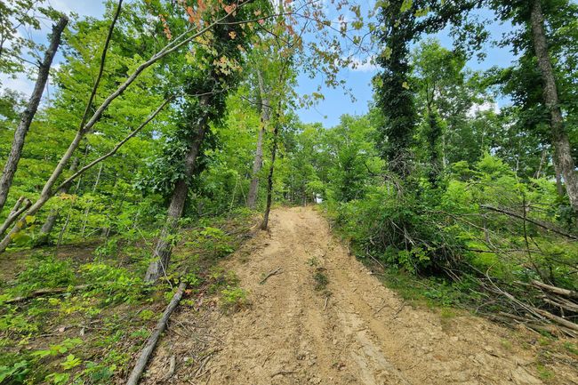 TRACT-3 - 0 Back Run Rd, Home with 0 bedrooms, 0 bathrooms and null parking in Philo OH | Image 17