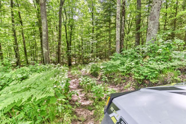 7818 Sutton Rd, House other with 2 bedrooms, 2 bathrooms and null parking in Minocqua WI | Image 43