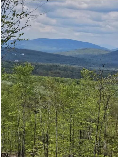 040 Streaked Mountain Rd, Buckfield, ME, 04220 | Card Image