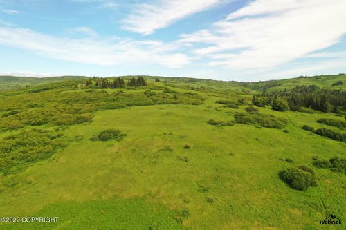 E2 Alaskan Wildwood Ranch(R), Nikolaevsk, AK, 99556 | Card Image