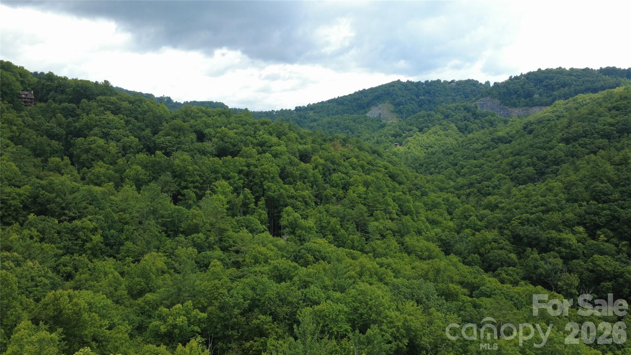 Land in Lenoir 4