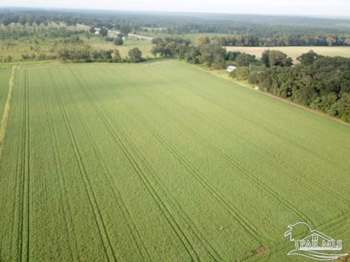4+ acres Stewart St, Milton, FL, 32570 | Card Image