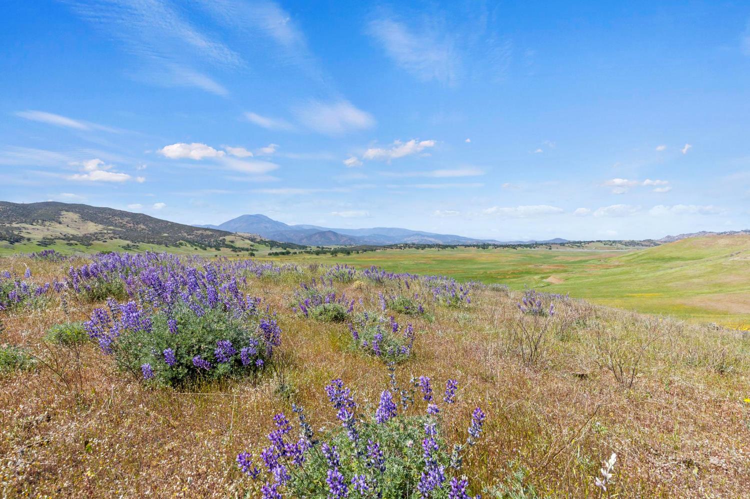 Land in Stonyford 5