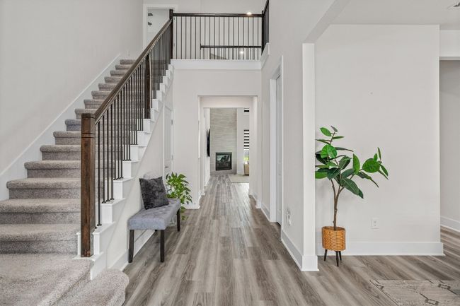 Captivating entry | Image 8