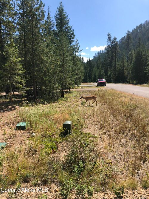 L25 Tracy Ln, Priest Lake, ID, 83856 | Card Image