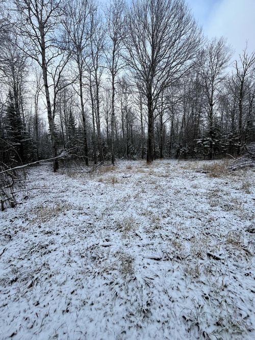 TBD Pinewood Lane Nw, Angle Inlet, MN, 56711 | Card Image