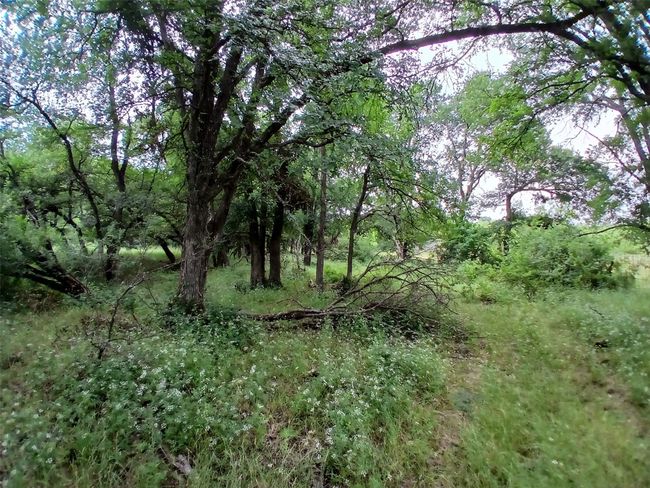 8112 Fm 2114, Home with 0 bedrooms, 0 bathrooms and null parking in Hubbard TX | Image 22