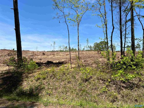 35 Acres Hwy 35, Gaylesville, AL, 35973 | Card Image