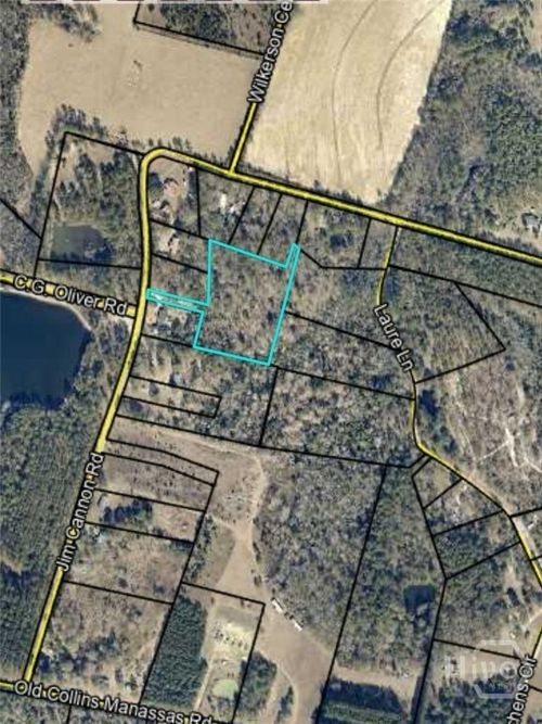 0 Jim Cannon Road, Collins, GA, 30421 | Card Image