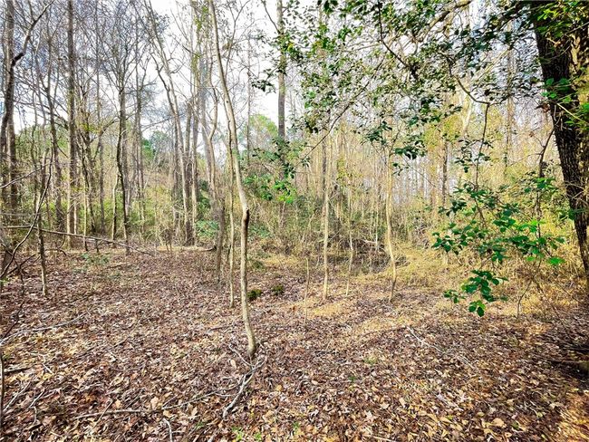 00 New Bridge Rd, Home with 0 bedrooms, 0 bathrooms and null parking in Mc Coll SC | Image 25