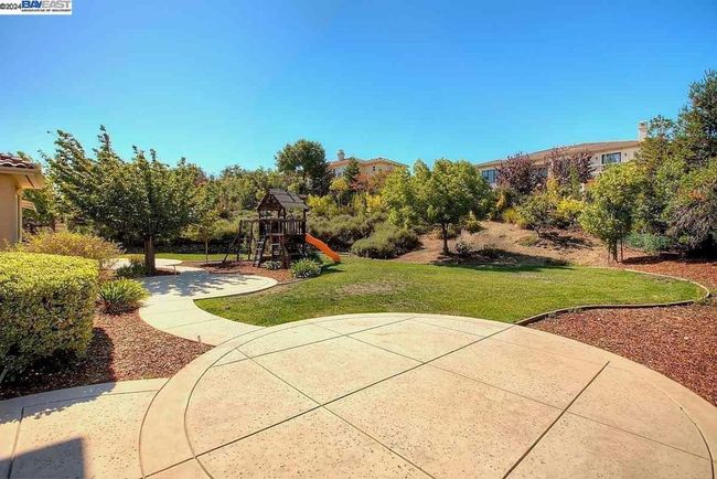 Back Yard | Image 9