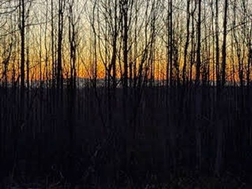 1867 Big Ridge Rd, Spring City, TN, 37381-7640 | Card Image