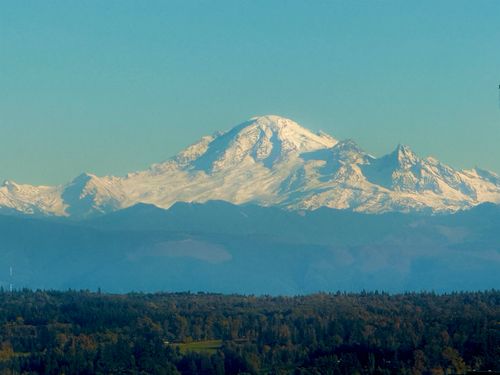 2001-1501 Foster St, White Rock, BC, V4B0C3 | Card Image