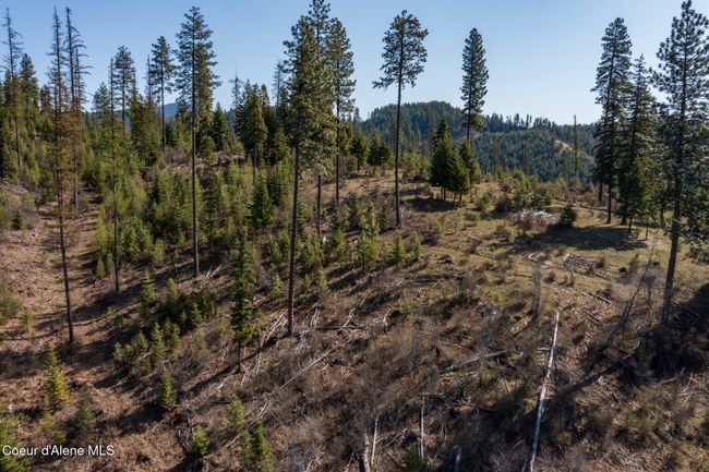 262 North Side Road, Home with 0 bedrooms, 0 bathrooms and null parking in Calder ID | Image 37