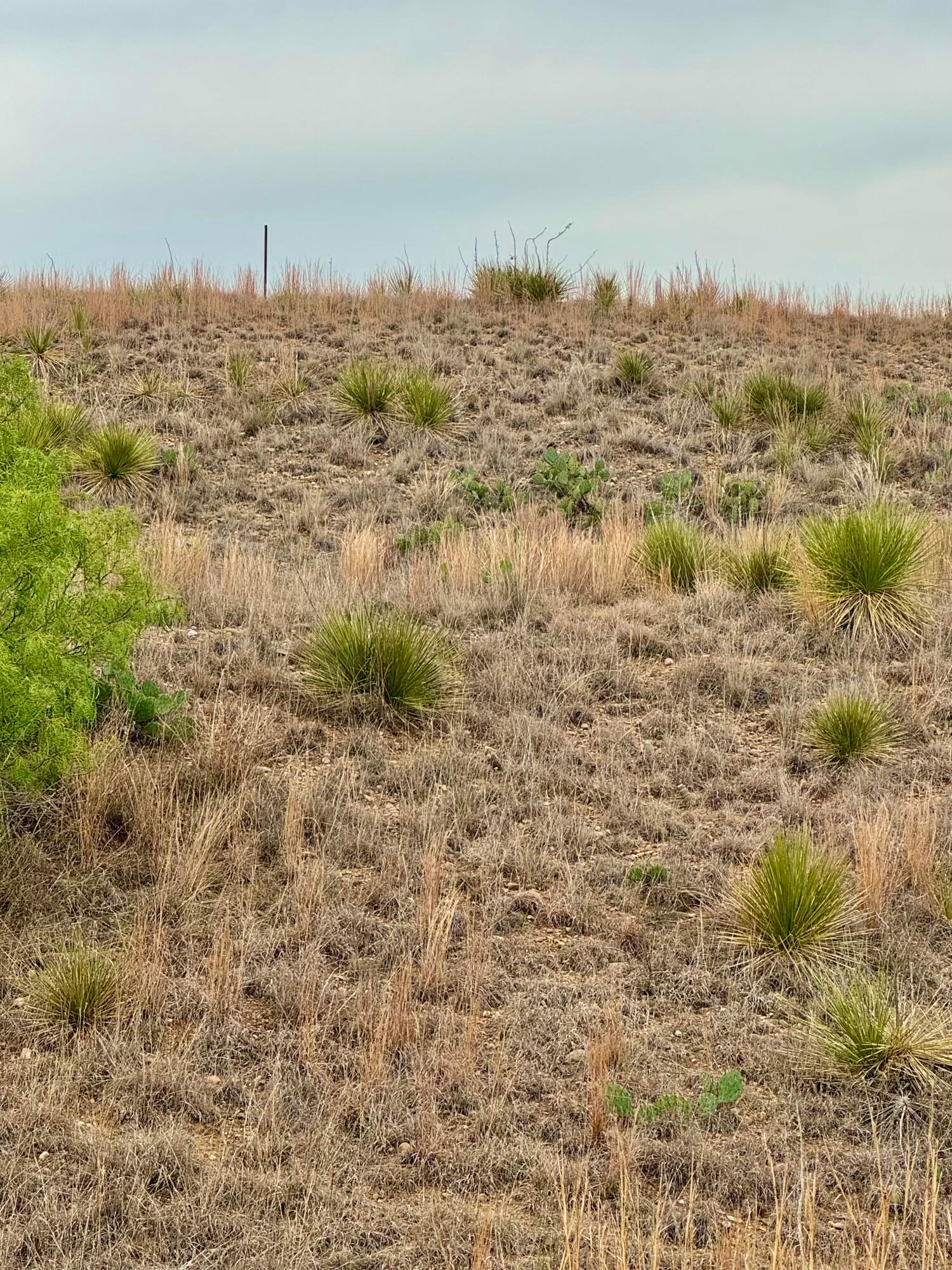 Land in Fritch 4