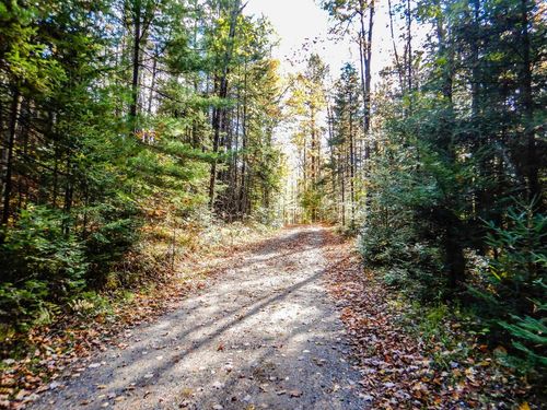 N16656 Dexter Drive, Beecher, WI, 54156 | Card Image