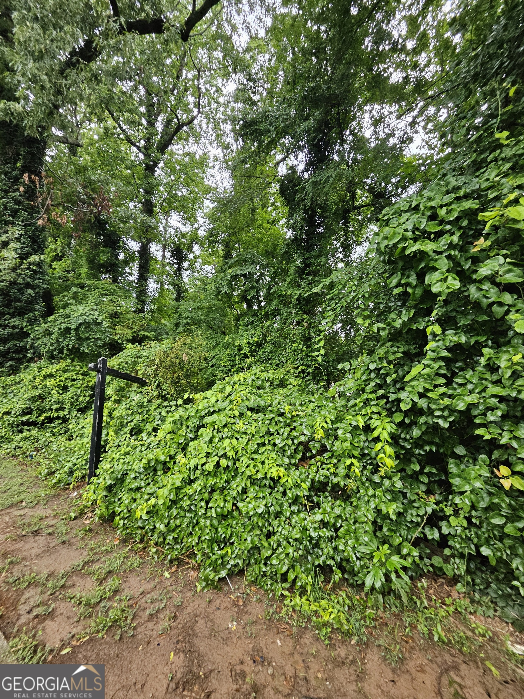 Land in Decatur 2