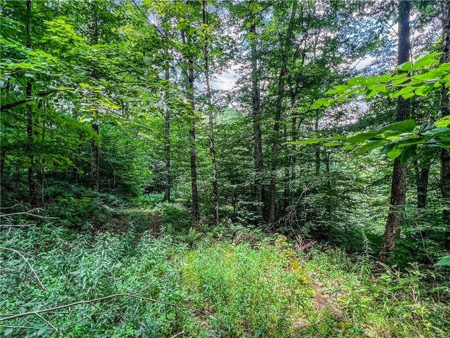 22+ Acres | Image 26
