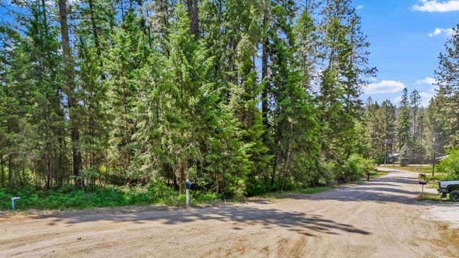 3264 Shady Ct, Home with 0 bedrooms, 0 bathrooms and null parking in Valley WA | Image 4