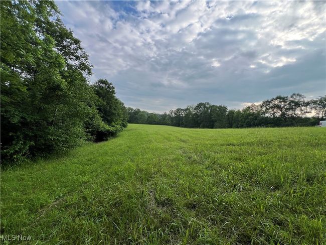 View of local wilderness with rural landscape | Image 10