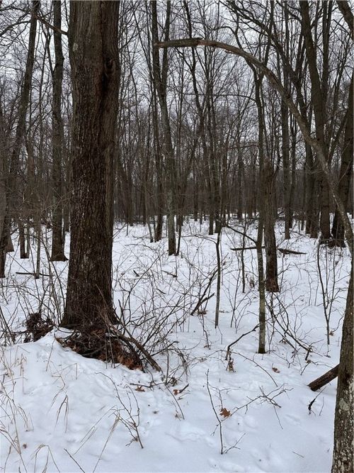 17085 County Road D, Fall Creek, WI, 54742 | Card Image