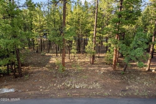 6938 Palomino Dr, Pinetop, AZ, 85935-8881 | Card Image