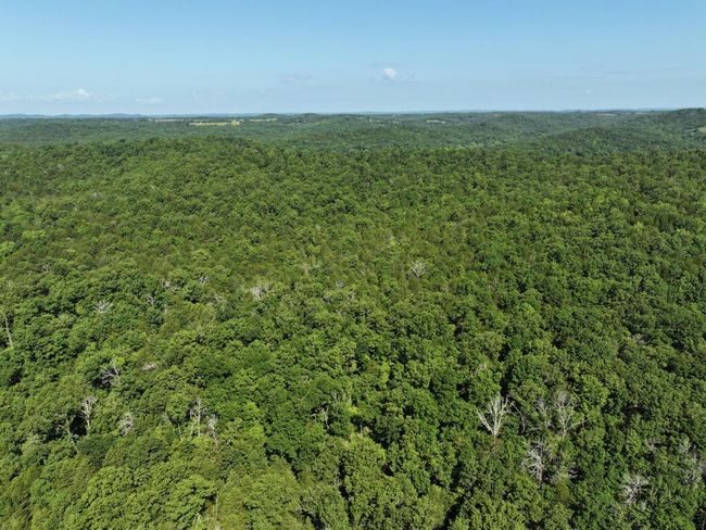 dji_fly_20250620_103136_0025_17504331105 | Image 21