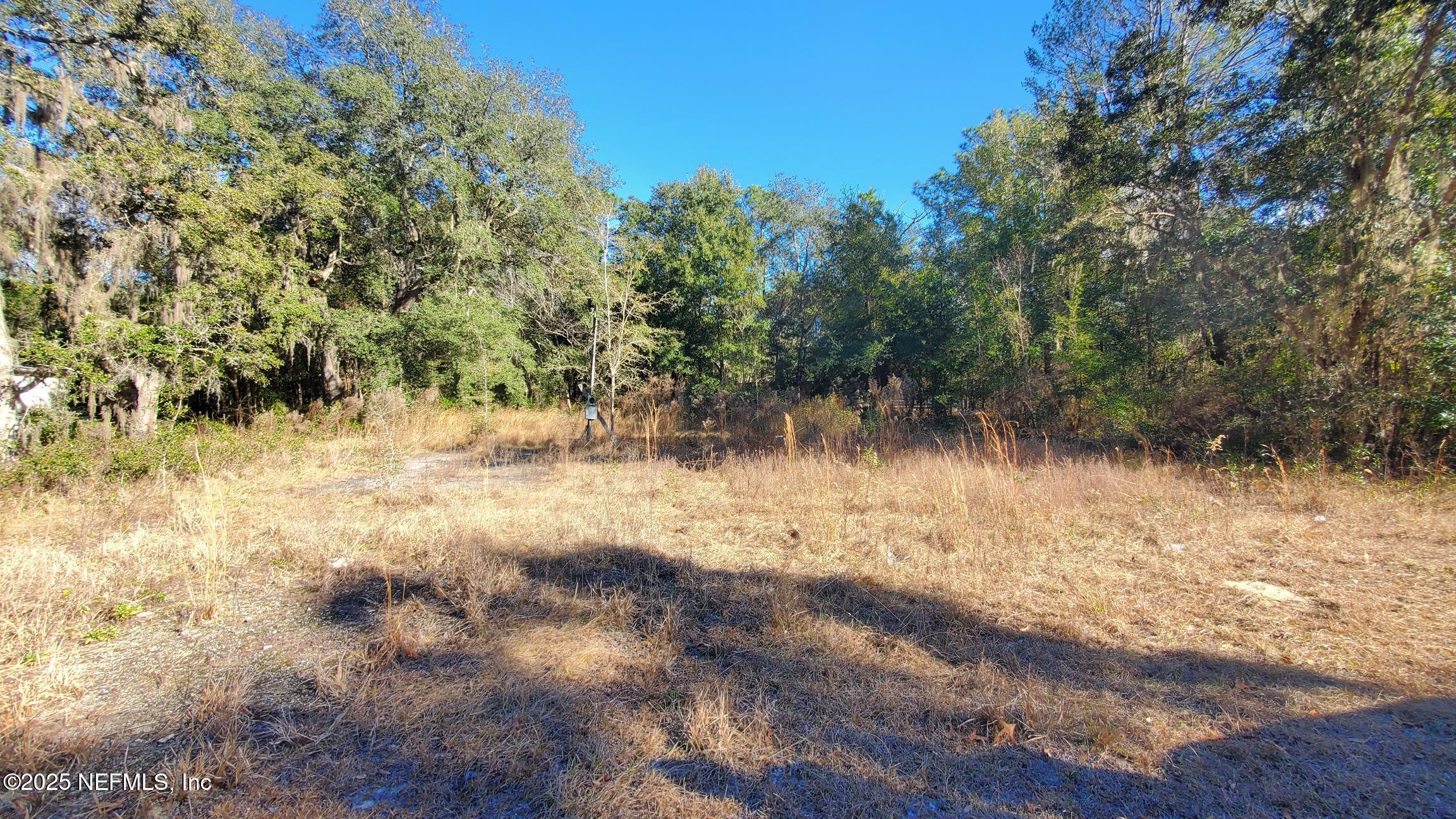 Land in Interlachen 2