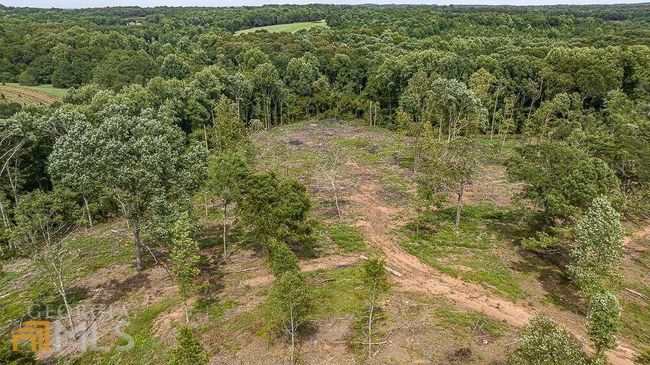 TRACT 2 Coldwater Creek Rd, Home with 0 bedrooms, 0 bathrooms and null parking in Dewy Rose GA | Image 15