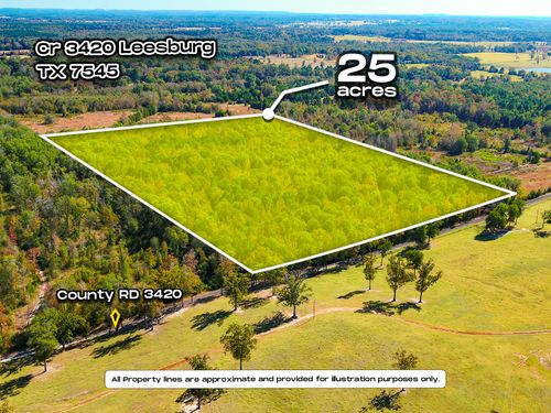 TBD County Road 3420, Leesburg, TX, 75451 | Card Image
