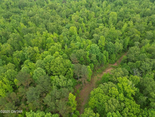 0 Buggy Branch Ln, Home with 0 bedrooms, 0 bathrooms and null parking in Cedar Grove TN | Image 5
