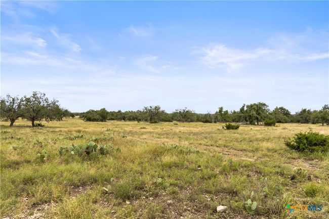 3049 Reservation Rd, Home with 0 bedrooms, 0 bathrooms and null parking in Harper TX | Image 32