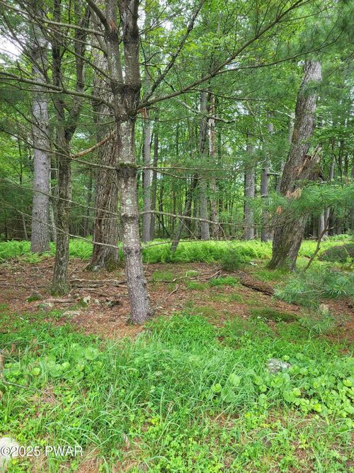 Lot #97 S. Nichecronk Road, Dingmans Ferry, PA, 18328 | Card Image